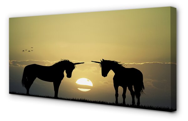 Tablouri canvas Câmp unicorni apus de soare