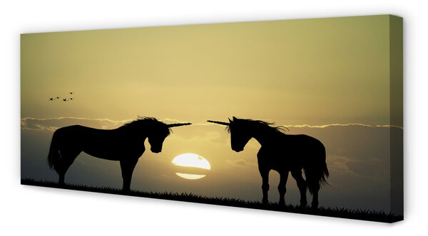 Tablouri canvas Câmp unicorni apus de soare