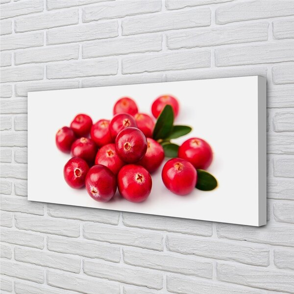 Tablouri canvas Avocado