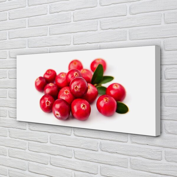Tablouri canvas Avocado