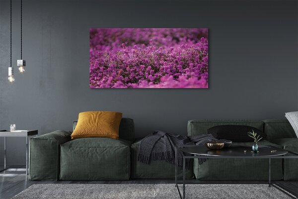 Tablouri canvas Heathers câmp