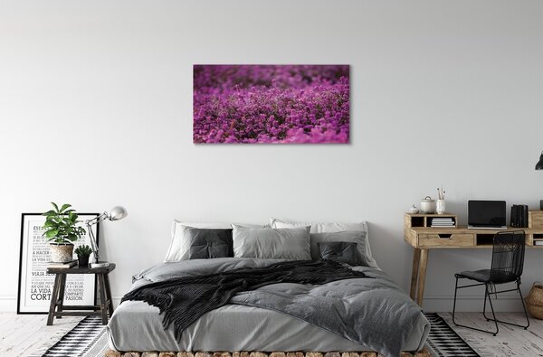 Tablouri canvas Heathers câmp