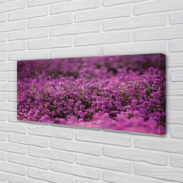 Tablouri canvas Heathers câmp