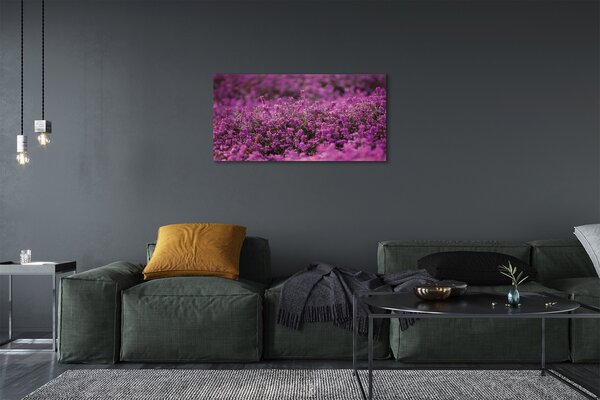 Tablouri canvas Heathers câmp