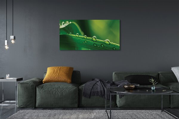 Tablouri canvas Picături de iarbă macro