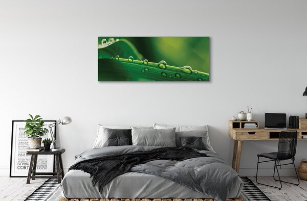 Tablouri canvas Picături de iarbă macro