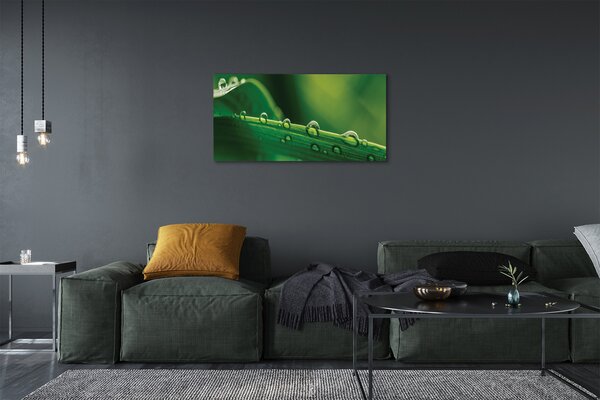 Tablouri canvas Picături de iarbă macro