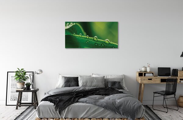 Tablouri canvas Picături de iarbă macro
