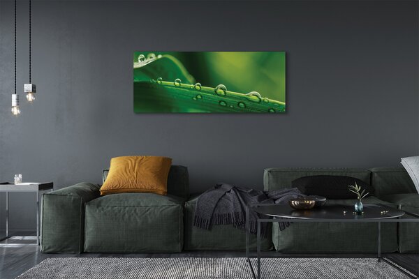 Tablouri canvas Picături de iarbă macro