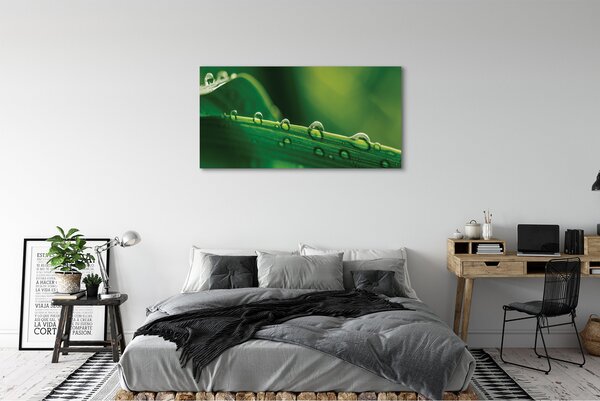 Tablouri canvas Picături de iarbă macro