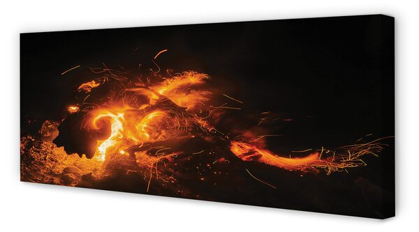 Tablouri canvas Dragon de foc