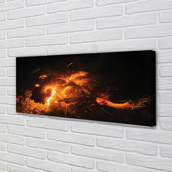 Tablouri canvas Dragon de foc