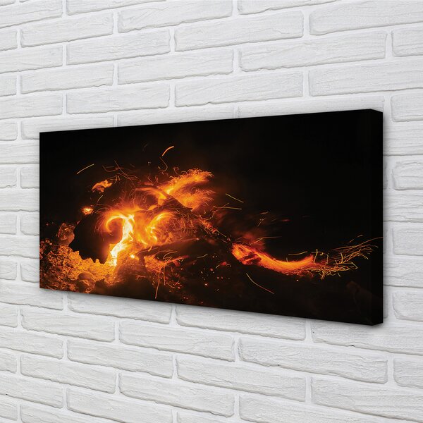Tablouri canvas Dragon de foc