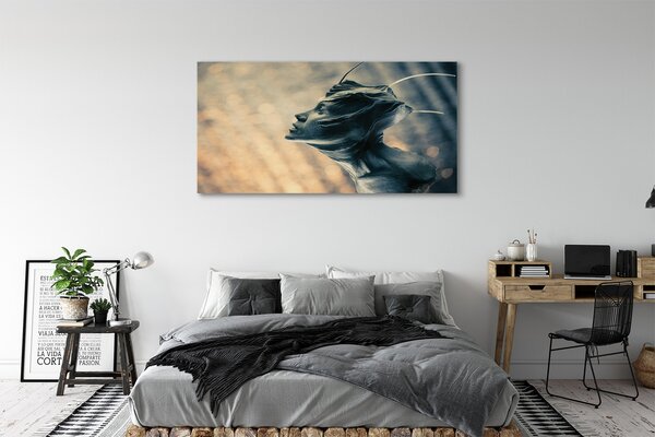 Tablouri canvas Forma capului