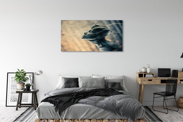 Tablouri canvas Forma capului