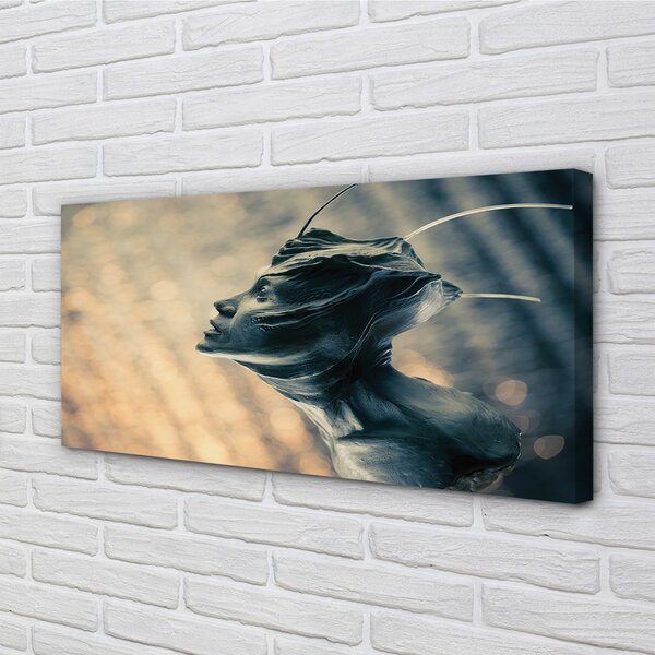 Tablouri canvas Forma capului
