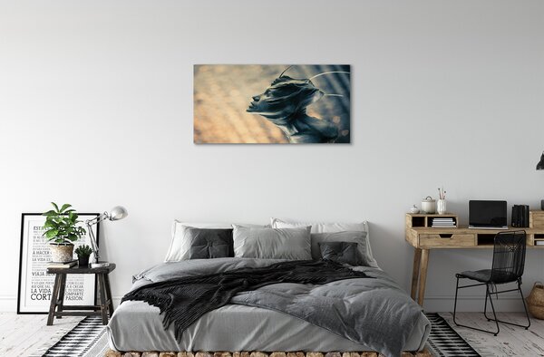 Tablouri canvas Forma capului