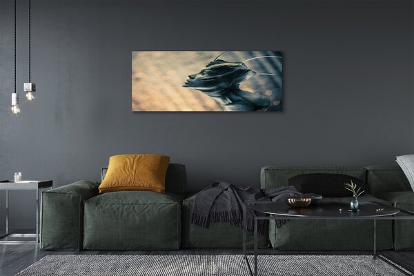 Tablouri canvas Forma capului