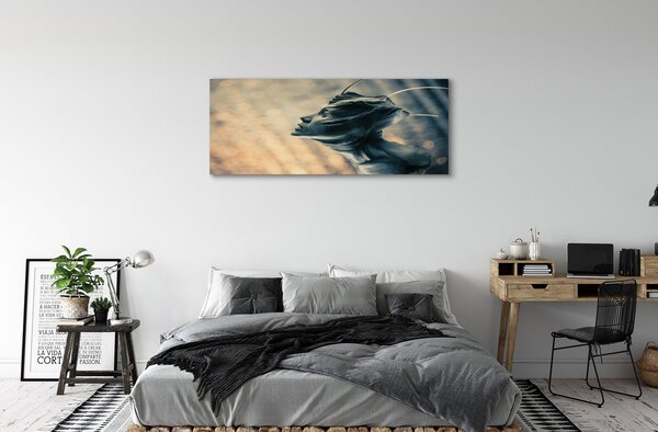 Tablouri canvas Forma capului