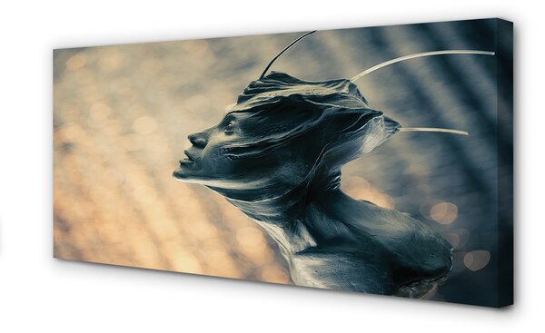 Tablouri canvas Forma capului