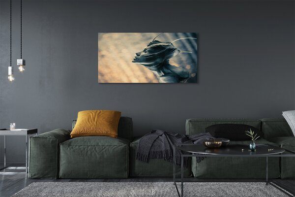 Tablouri canvas Forma capului