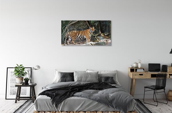 Tablouri canvas tigru junglă