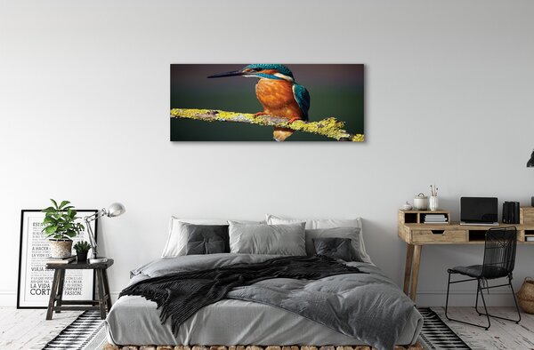 Tablouri canvas pasăre colorat de pe o ramură