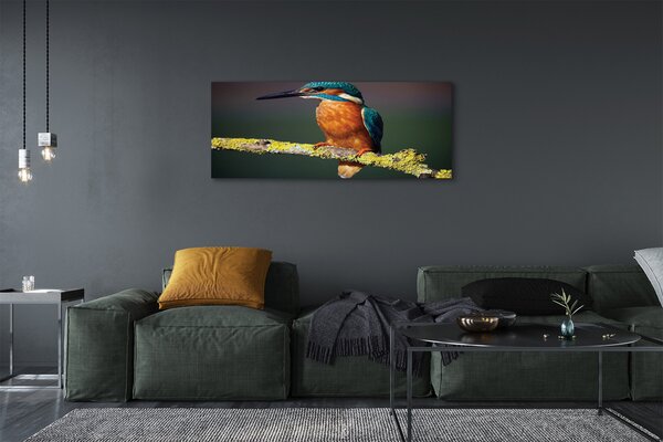Tablouri canvas pasăre colorat de pe o ramură