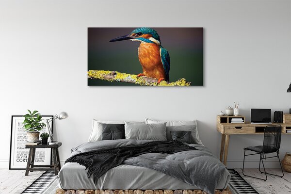Tablouri canvas pasăre colorat de pe o ramură