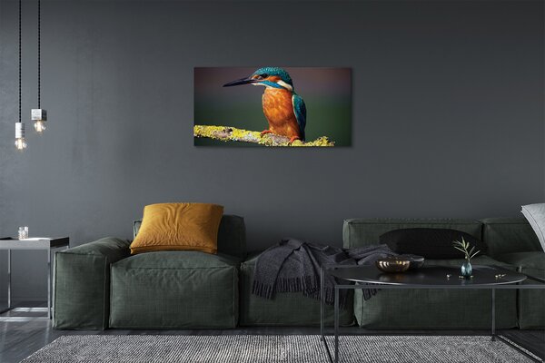 Tablouri canvas pasăre colorat de pe o ramură