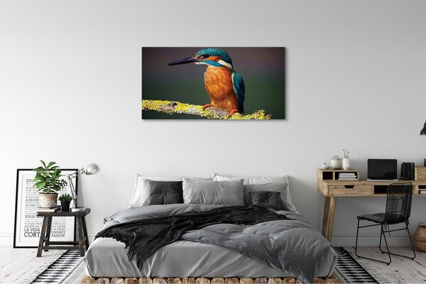 Tablouri canvas pasăre colorat de pe o ramură