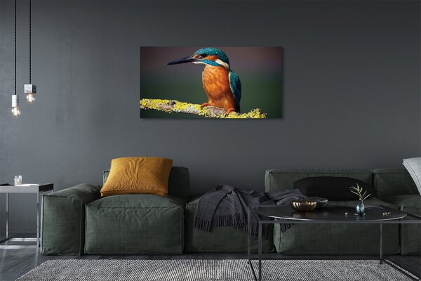 Tablouri canvas pasăre colorat de pe o ramură