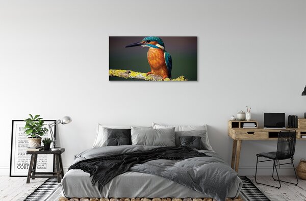 Tablouri canvas pasăre colorat de pe o ramură