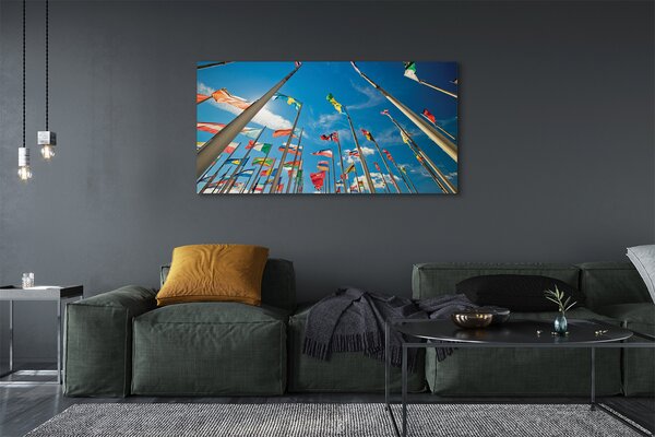 Tablouri canvas diverse steaguri