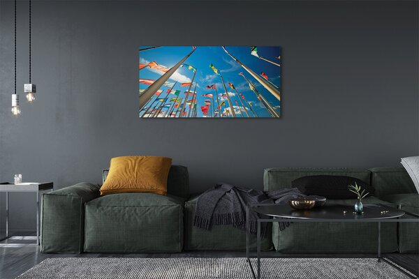 Tablouri canvas diverse steaguri