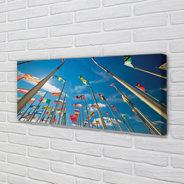 Tablouri canvas diverse steaguri
