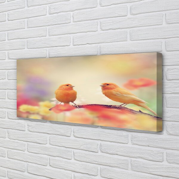 Tablouri canvas papagal colorat