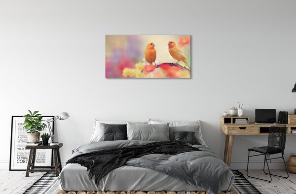 Tablouri canvas papagal colorat