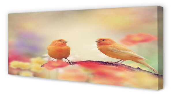Tablouri canvas papagal colorat