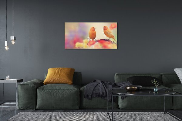 Tablouri canvas papagal colorat
