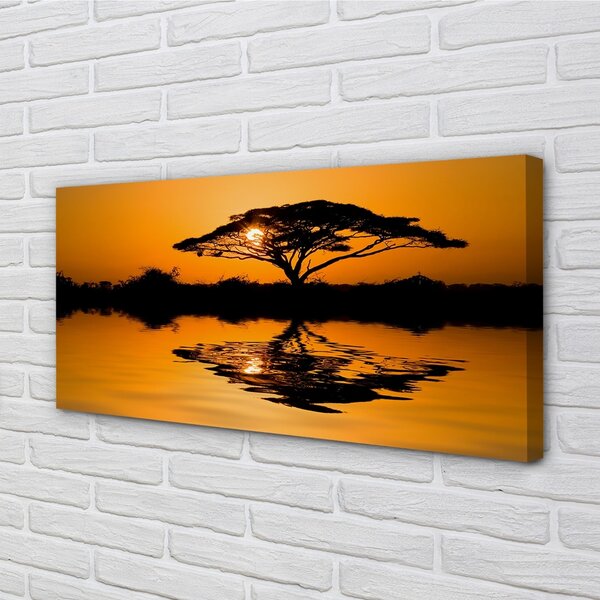 Tablouri canvas copac Apus de soare