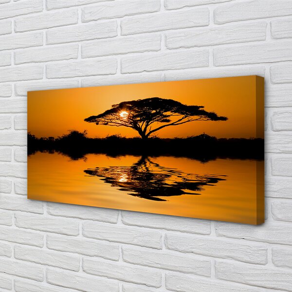 Tablouri canvas copac Apus de soare