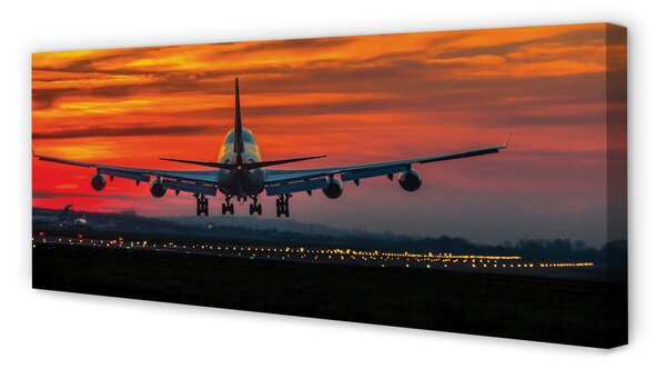 Tablouri canvas nori de aeronave de Vest