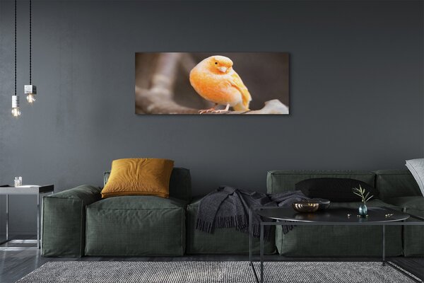 Tablouri canvas papagal ramură