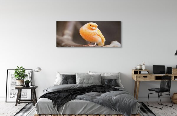 Tablouri canvas papagal ramură