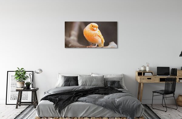 Tablouri canvas papagal ramură