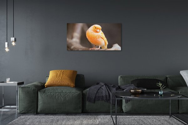 Tablouri canvas papagal ramură