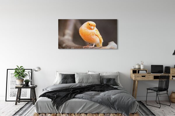 Tablouri canvas papagal ramură