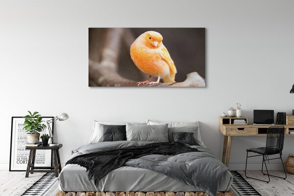 Tablouri canvas papagal ramură