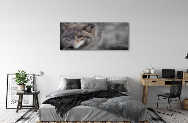 Tablouri canvas Lup